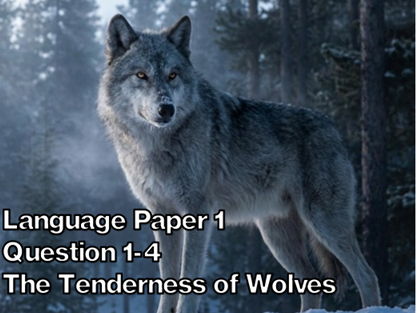 Language Paper 1 Question 1-4 - The Tenderness of Wolves