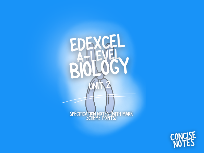 Edexcel IAL Biology Unit 2 Complete Revision Notes