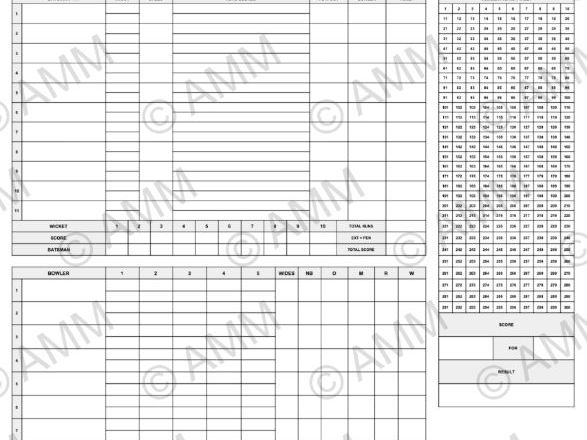 Simplified T20 Cricket Scoresheet | Secondary PE & After-School Club Match Tracker