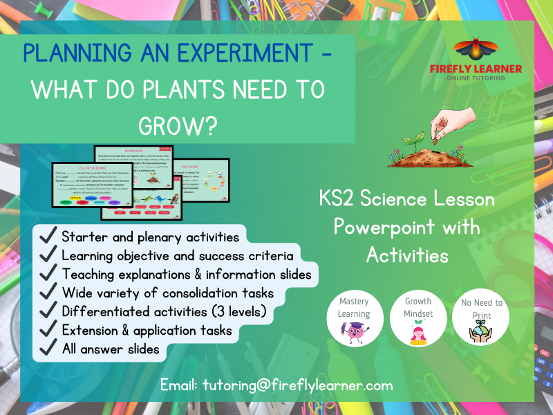 What do plants need to  grow? Experiment - Science Lesson PowerPoint & Tasks