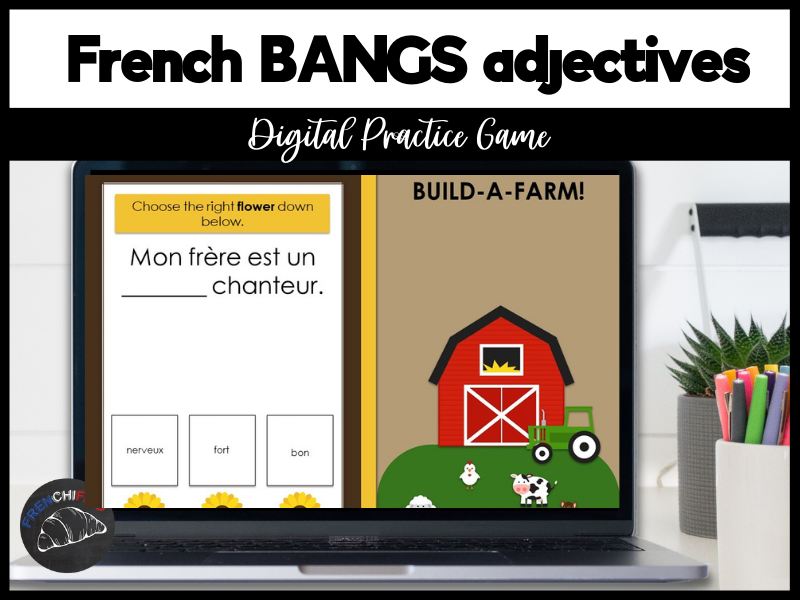French B.A.G.S. adjectives digital practice game Teaching Resources