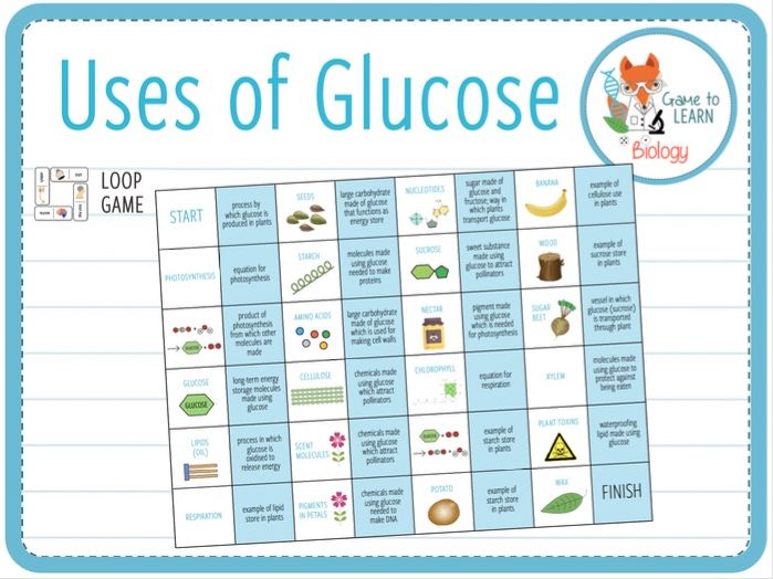 Uses Of Glucose In Plants Worksheet Teaching Resource vrogue.co