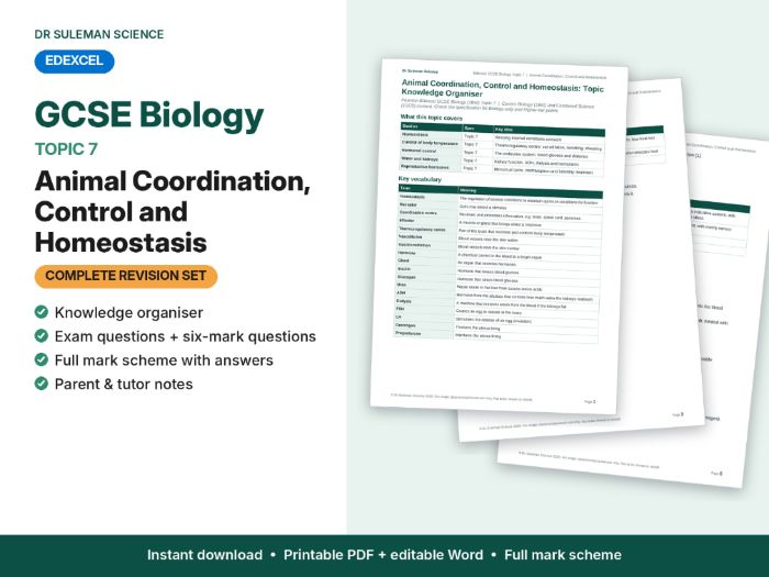 Edexcel GCSE Biology Topic 7 Coordination & Homeostasis Revision