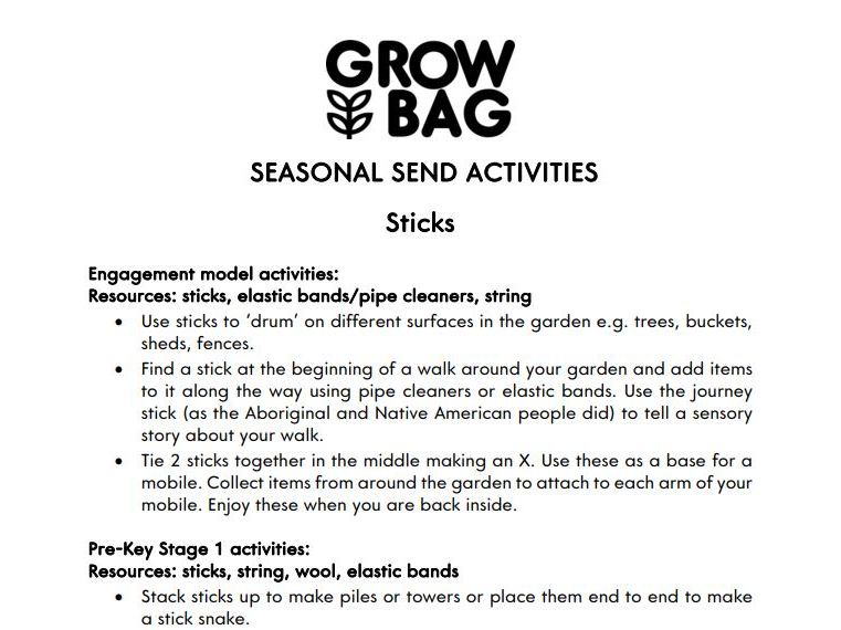 SEND activity - Sticks