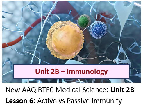 AAQ BTEC Medical Science Unit 2B Immunology – Lesson 6: Active vs Passive Immunity