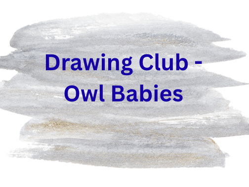 Drawing Club - Owl Babies