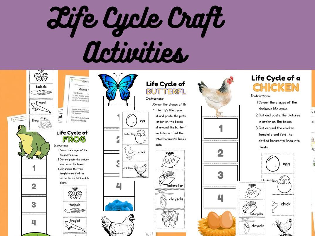 Life Cycle Craft Activity Bundle , KS1 Science