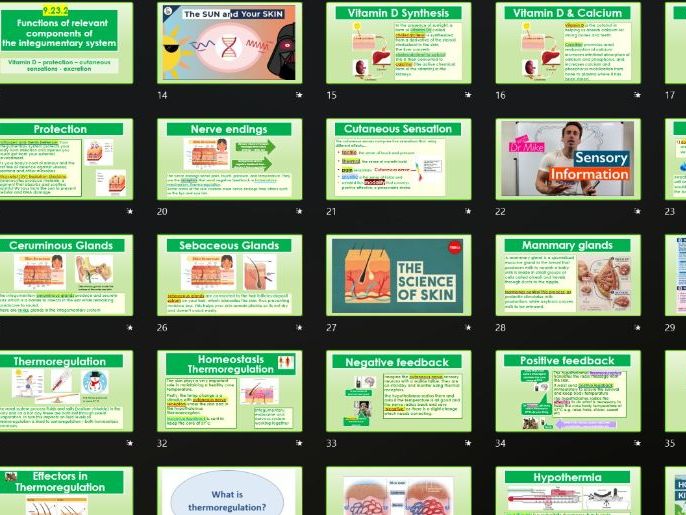 T-Level Health 2026 Content area 9: 9.23-9.24 Integumentary system plus 9.15