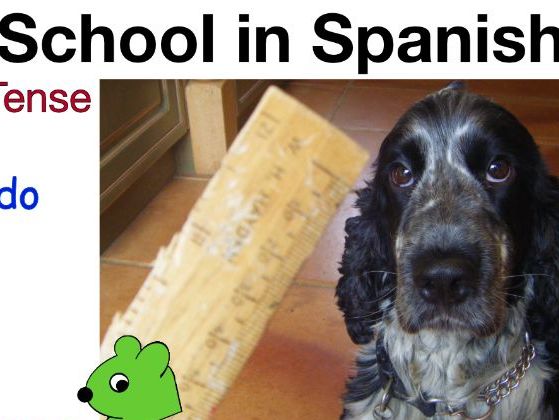 What I/We do at School in Spanish