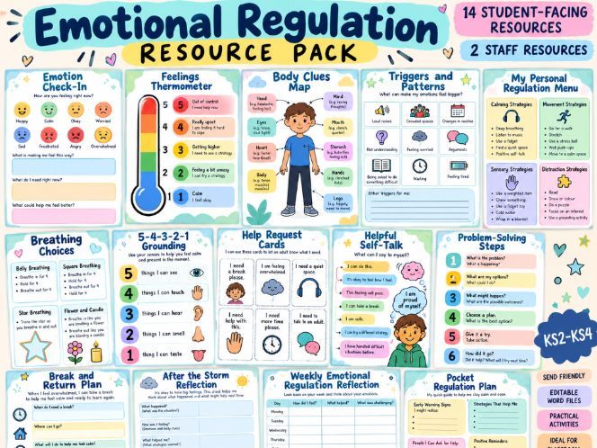 Emotional Regulation Pack (Large)