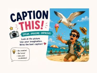 Caption This! Picture Prompts
