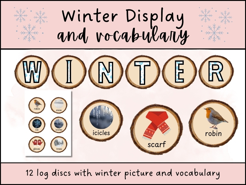 Winter Display and Vocabulary Log Disc Pack