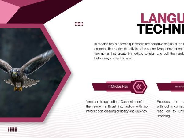 H is for Hawk - 3 Fully Customisable PowerPoints | IGCSE English Language Teaching & Revision