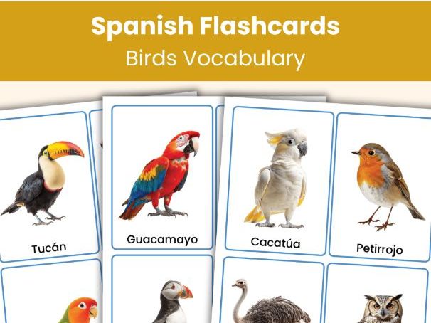 Spanish Birds Flashcards | Real Photo Vocabulary Cards | Printable Learning Resource