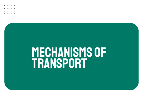 AP Biology Unit 2: Mechanisms of Transport
