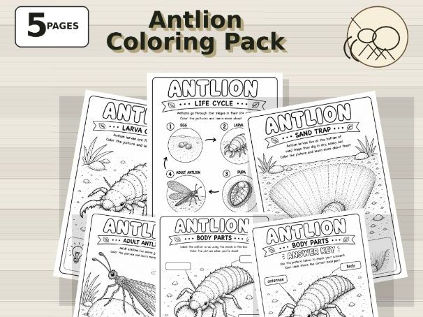Antlion Coloring Pages | Sand Trap Insect Science Pack for Kids (PreK-Grade 3)