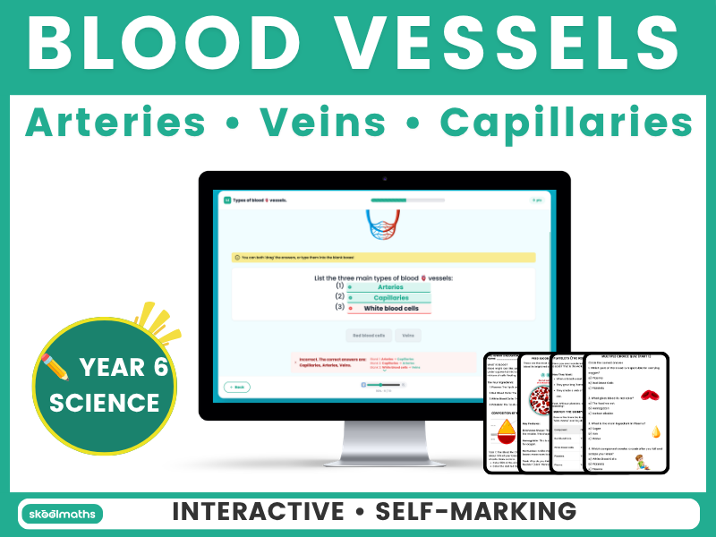Year 6 Blood Vessels | Arteries, Veins & Capillaries Science Lesson