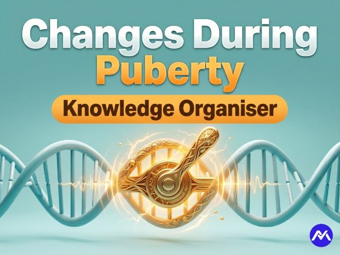 Changes During Puberty Knowledge Organiser
