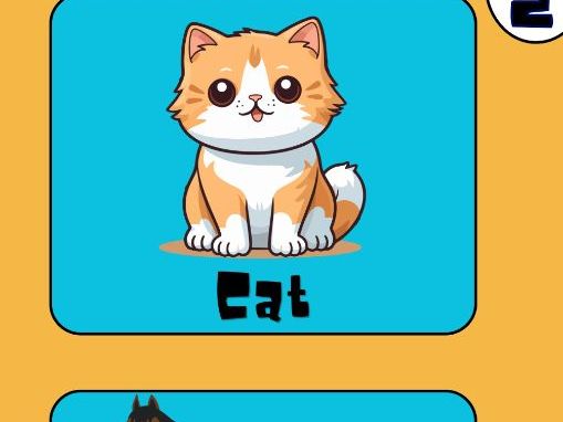Flashcards — Animals