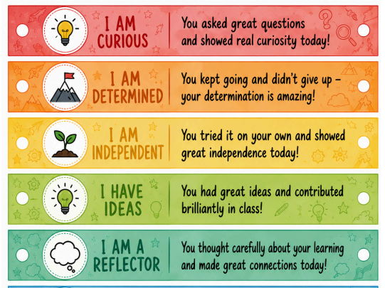 Brag Tag Wrist Bands for reinforcing positive behaviour