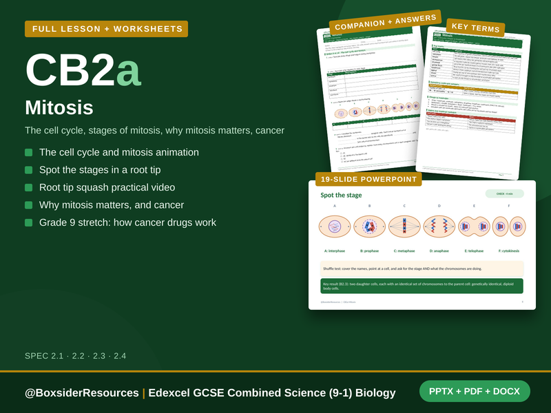 CB2a Mitosis | Edexcel GCSE Combined Science (9-1) | Lesson + Worksheet