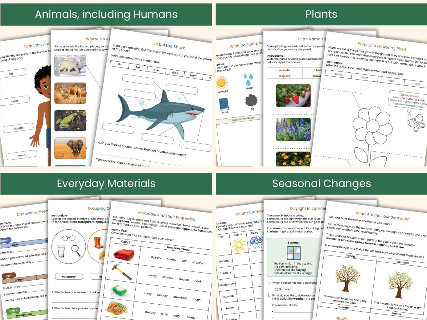 Year 1 Science Complete Workbook Bundle | Animals, Plants, Everyday Materials & Seasonal Changes | KS1 National Curriculum