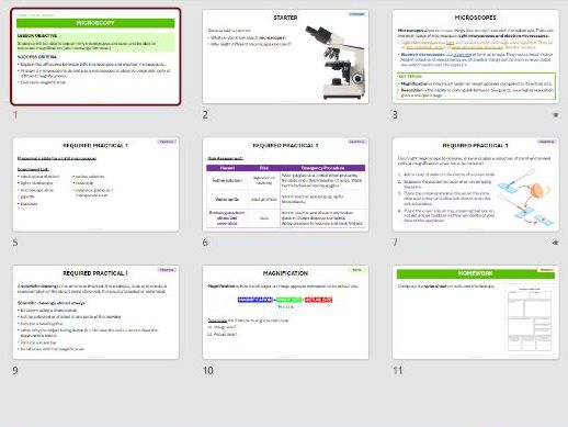 Magnification - Lesson