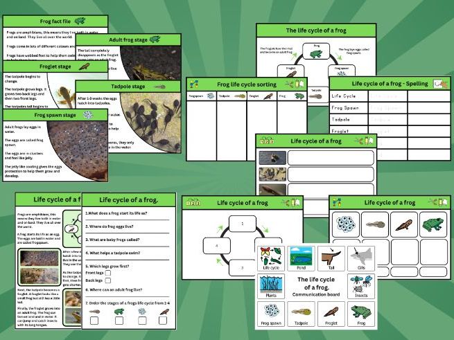 Frog Life Cycle bundle | Early level / KS1 / SEND | Worksheets, Sorting, Comprehension & Fact Files