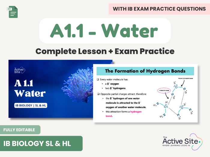 IB Biology A1.1 Water – SL & HL PowerPoint, Exam Practice & Markschemes