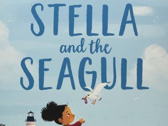 EYFS & KS1 - Stella and the Seagull (4 Week Unit)