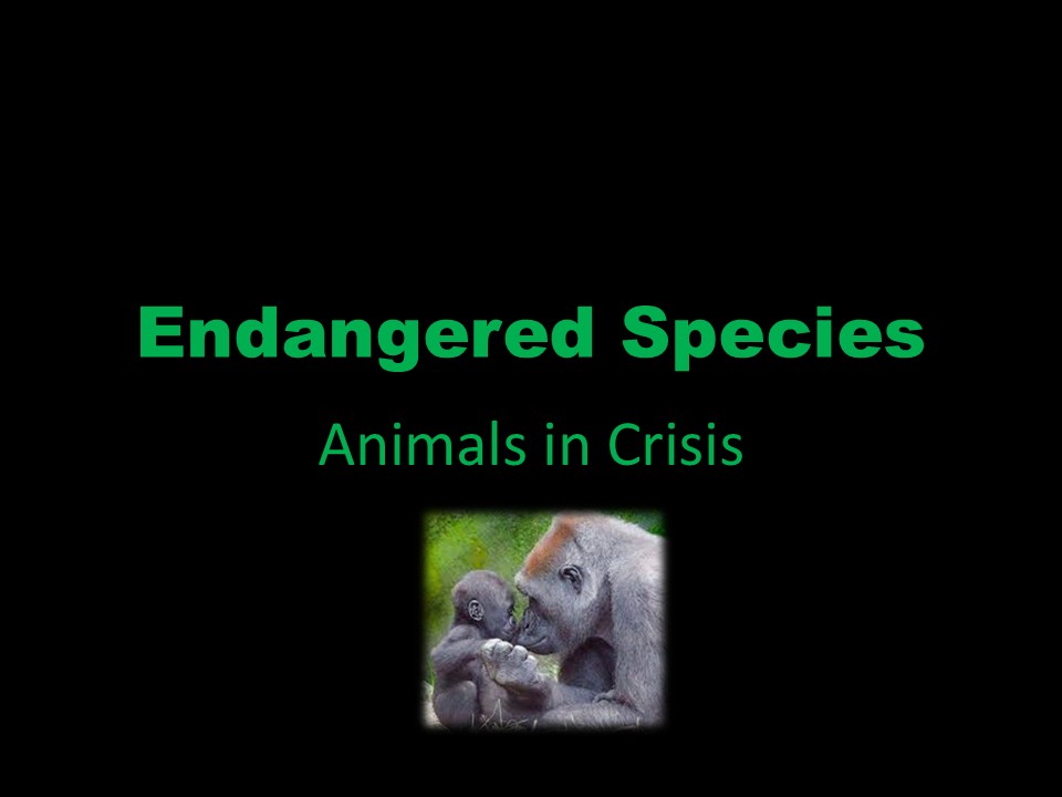 PowerPoint App Skills Workbook – 3 Parts