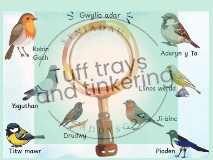 gwylio adar magnifying glass birdwatch cynfnod sylfaen foundation phase welsh ps1
