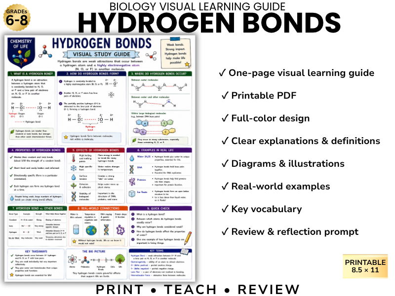 HYDROGEN BONDS Biology Visual Learning Guide | Grade 8 & Middle School Science