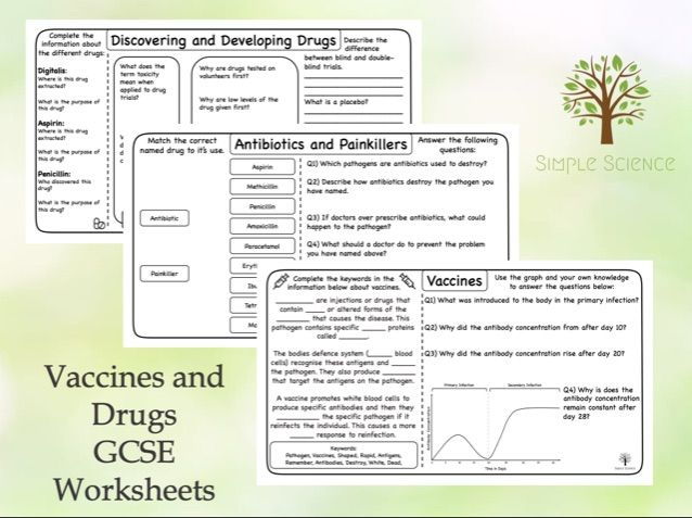 Effect of antibiotics on bacteria lab report image