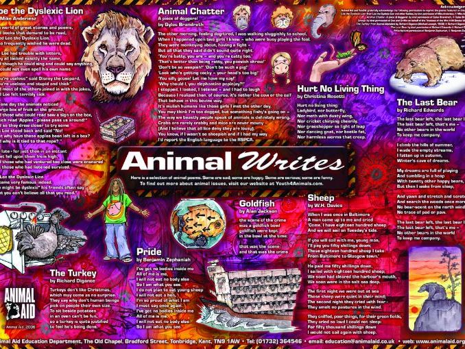 Animal Writes poetry poster