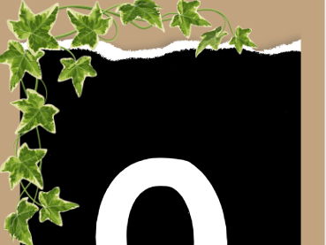 Numbers 0-20 - Ivy Collection