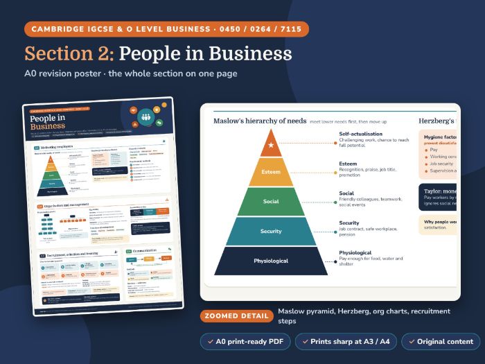IGCSE Business Section 2 Revision Poster