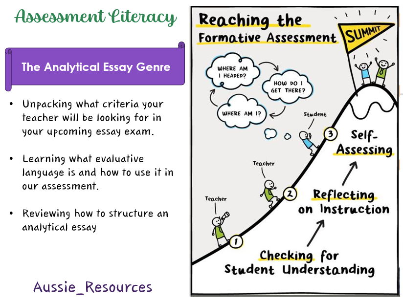 10 English – The Outsiders Novel Study – Assessment Literacy lesson 1 – Analytical Essays