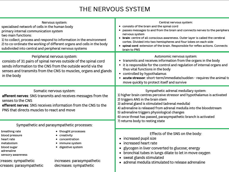 AQA A-Level Psychology knowledge organisers compulsory content + Relationships and Schizophrenia combination (NEW SPEC)