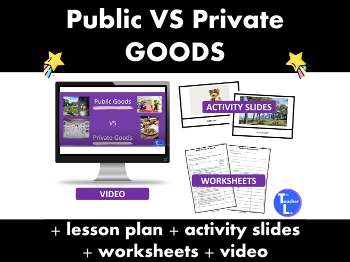 Public and Private Goods Social Studies Lesson Video Worksheets 4th Grade