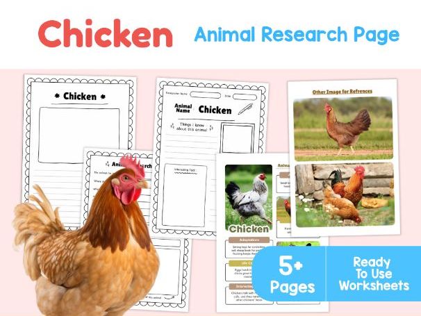 Chicken Animal Research Page | Farm Animals Science Worksheets