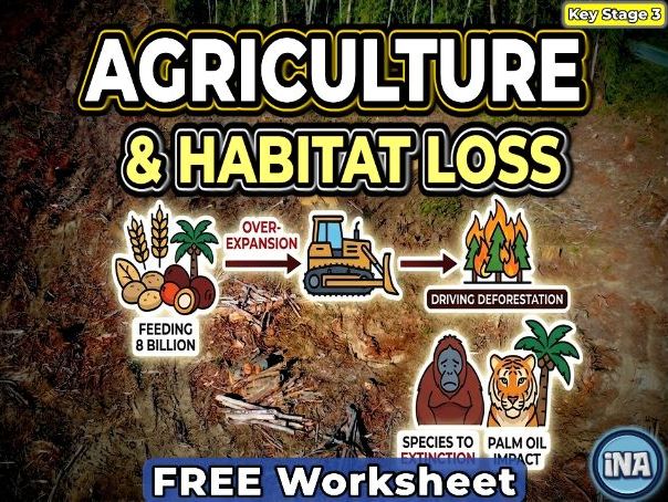 Agriculture and Habitat Loss - FREE KS3 Biology Worksheet