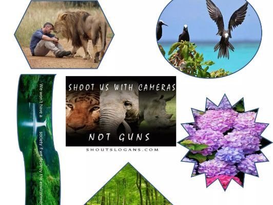 A Level Biology - Conservation