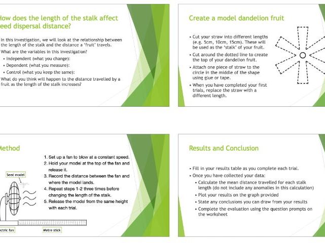 KS3 Quantitative Investigation of Seed Dispersal PPT and Worksheet