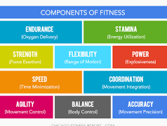 Components of Fitness worksheet