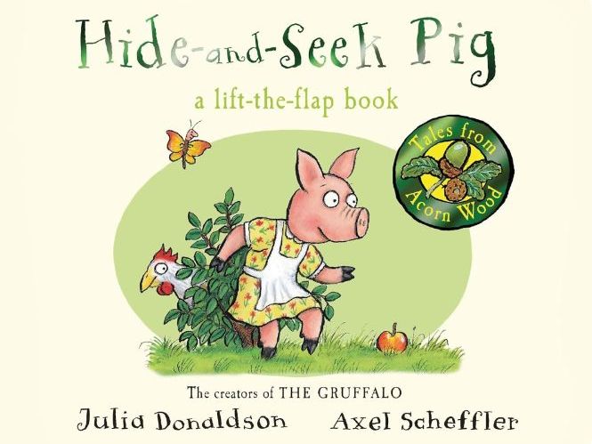 Hide-and-Seek Pig