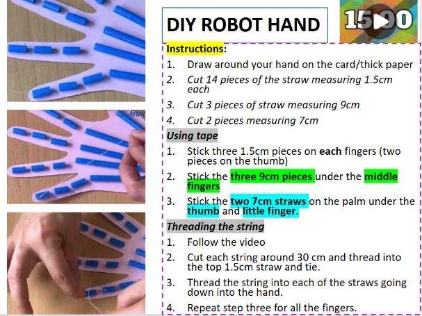 KS2 Science The Human Skeleton Movement Complete Lesson