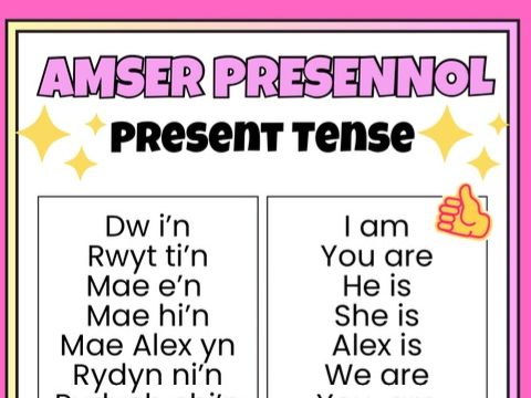Amserau/ Tenses posters for classroom display