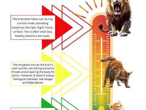 Brain States Under Stress – Trauma-Informed Regulation Visual | Neuro-Affirming SEND Resource