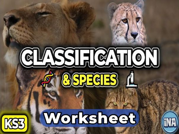 Classification and Species - KS3 Biology Worksheet